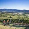 Couple riding E-bikes in the Vipava valley Slovenia. Photo by Anita Ferjancic, RockVelo