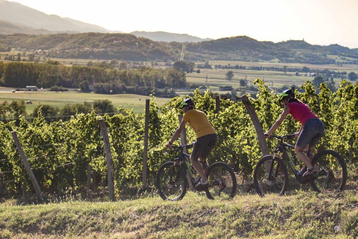 Cycling in the vineyards with RockVelo rental e-bikes.