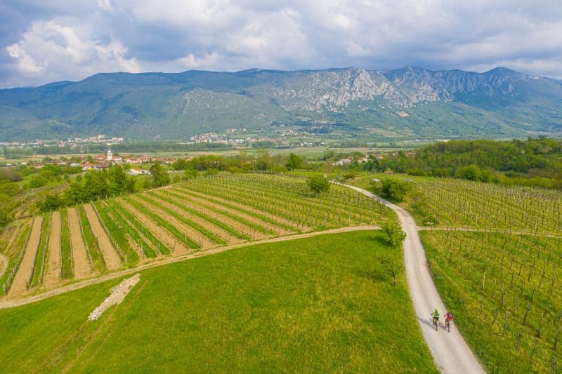 Pogled iz zraka na kolesarjenje v vipavski dolini