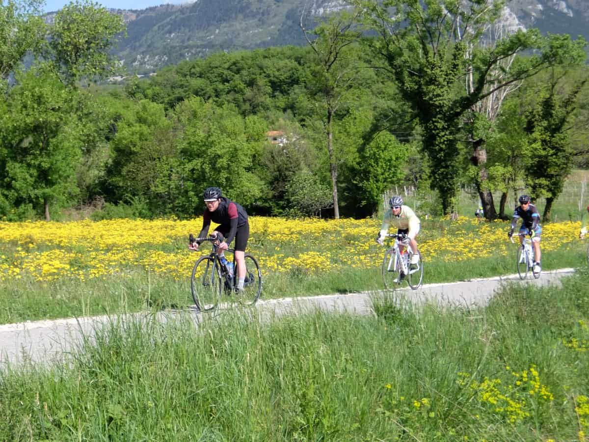 Easy road cycling in Slovenia. photo by RockVelo bike tours