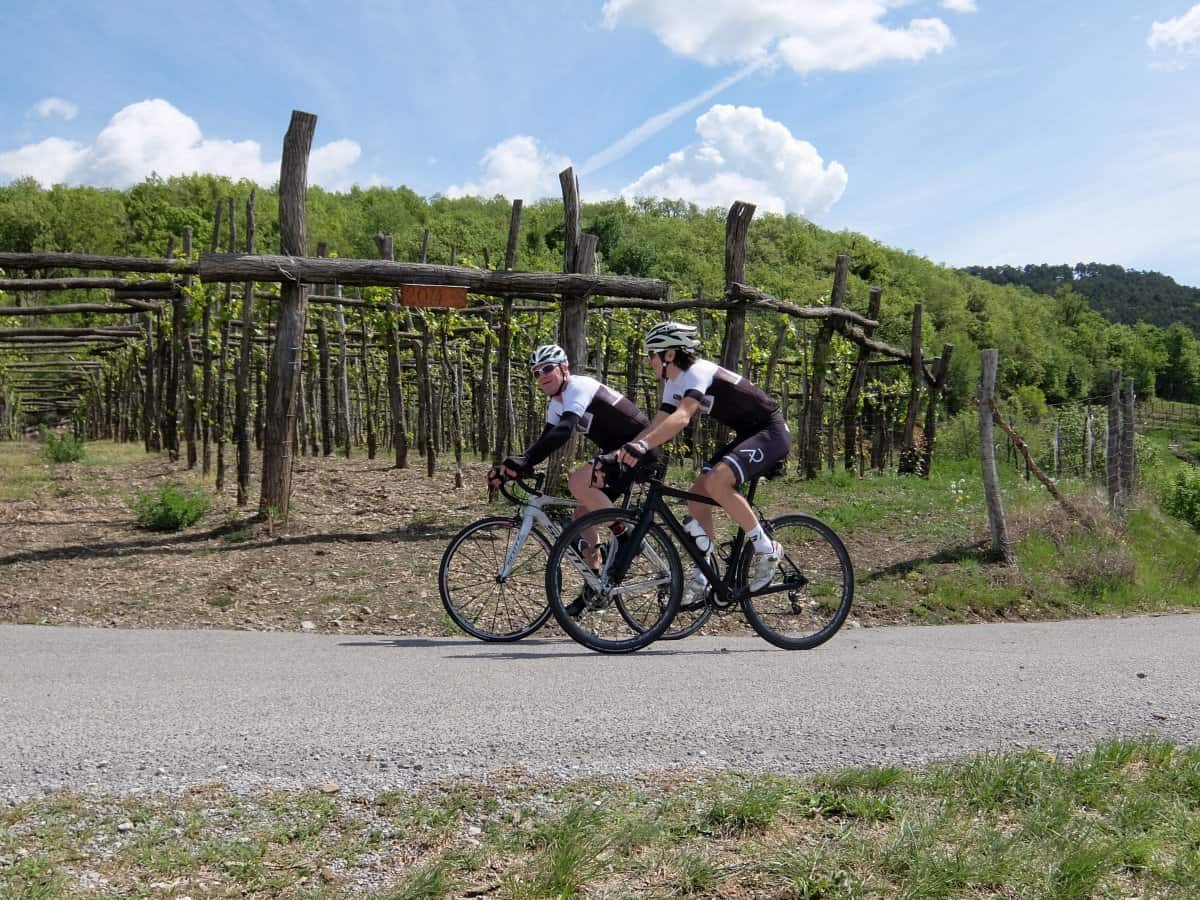 Two road cyclists in the vineyards of Vipava valley. RockVelo bike tours Slovenia.