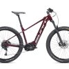E-bike Rental Penzion Sinji Vrh